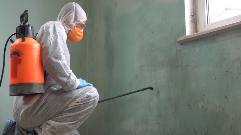 Asbestos and Lead Testing During Mold Inspection